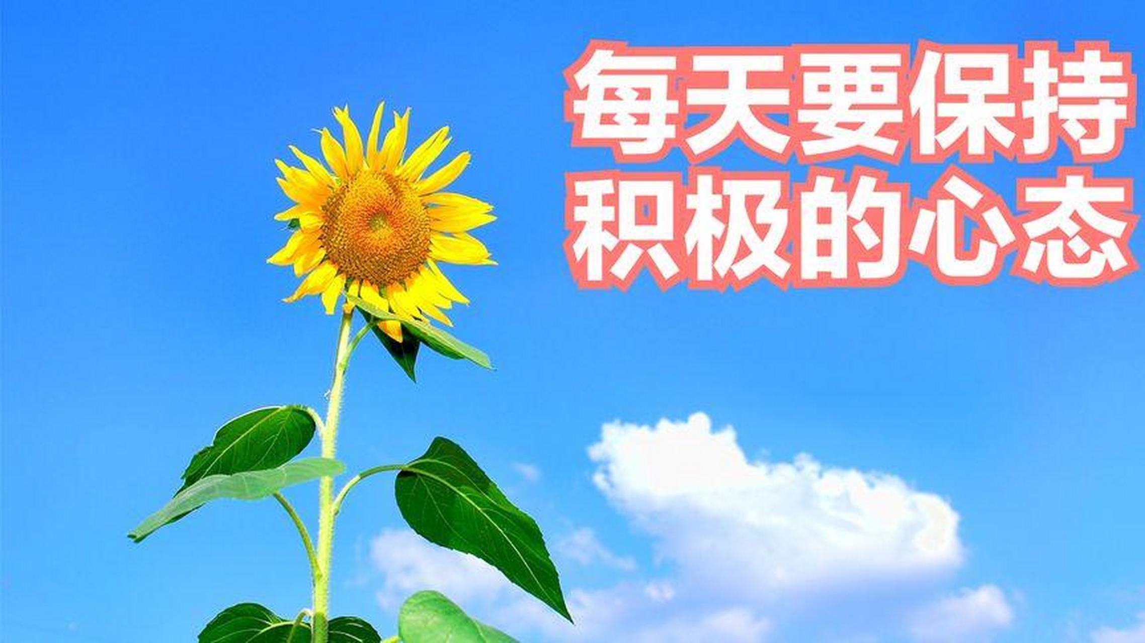 知识创作挑战赛初夏篇#  正能量励志人生感悟: *心怀感恩,珍惜当下