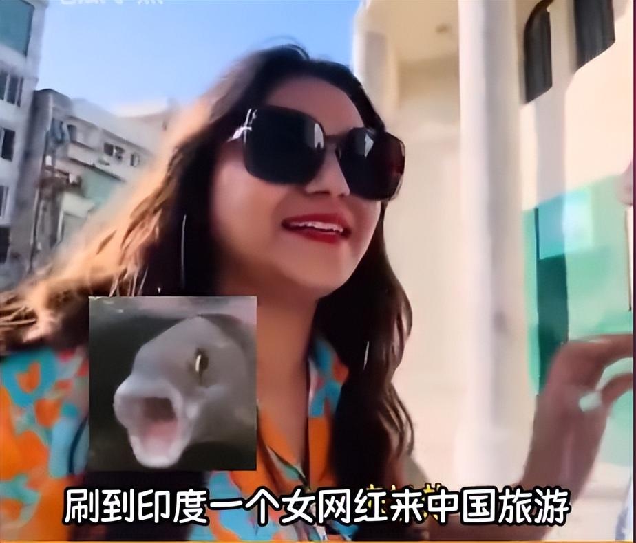 印度女网红在中国旅行,坐车不给钱,要求高铁换位,外国网友急了