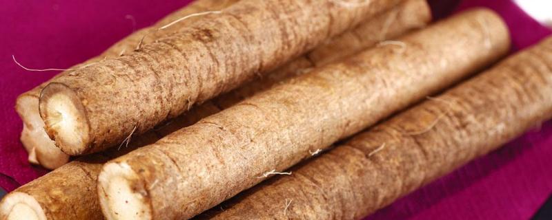 牛蒡和山药有什么区别,科属,外形和营养功效等方面均不同