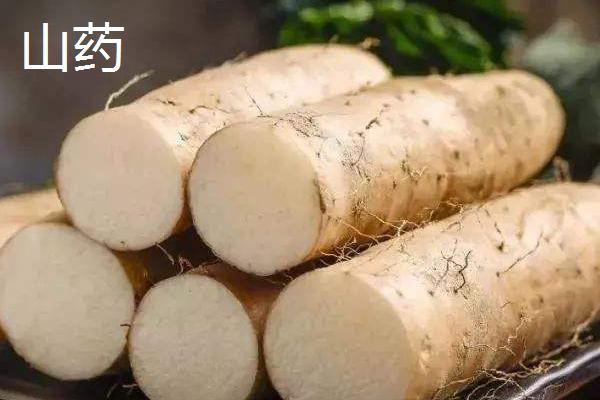 牛蒡和山药有什么区别,科属,外形和营养功效等方面均不同