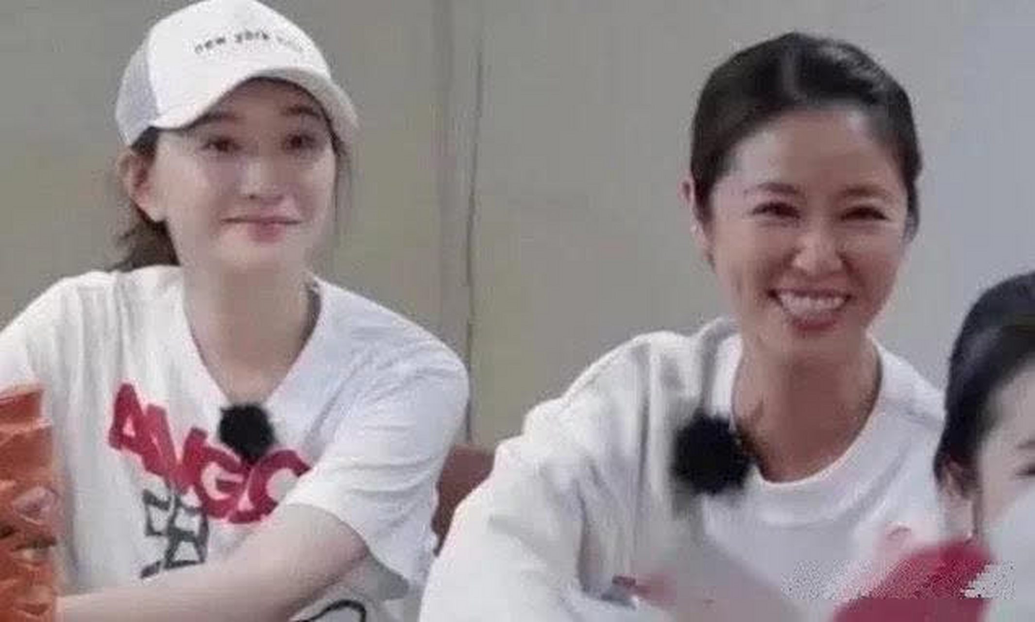 同样48岁的李小冉和林心如