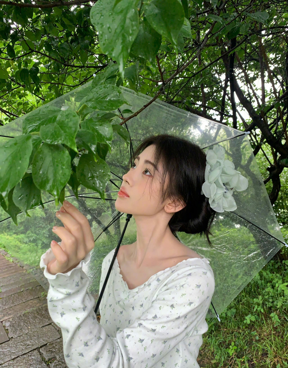 鞠婧祎,白色碎花长袖,撑个透明雨伞,小清新!