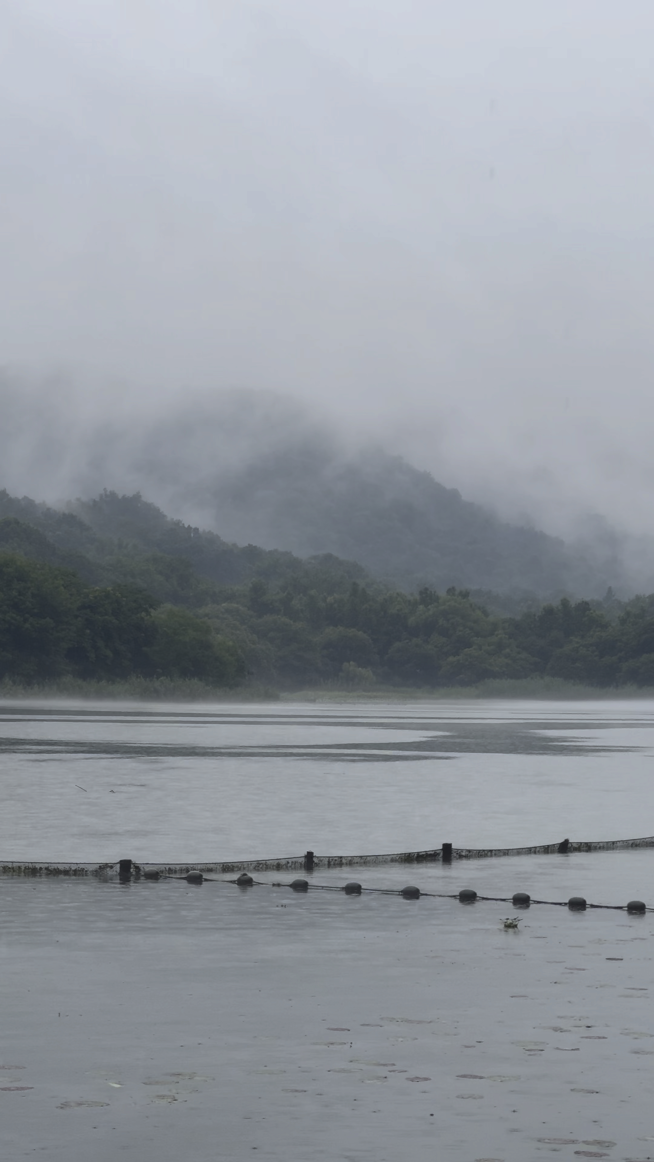 雨中江南风景图片大全图片