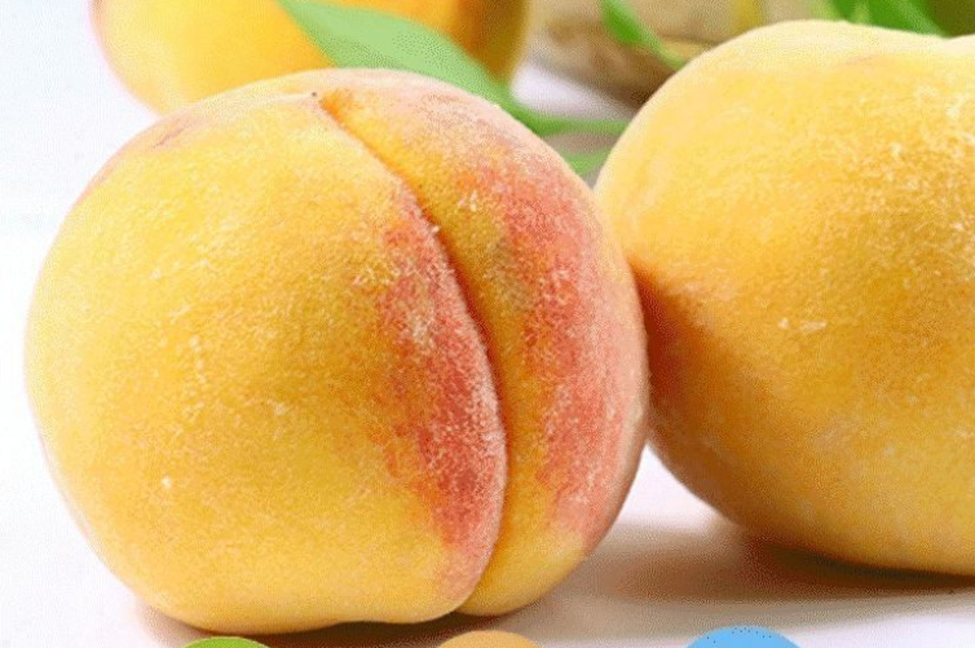 头茬甜黄桃,黄毛桃,当季水果,一整箱软糯香甜,现货现发!