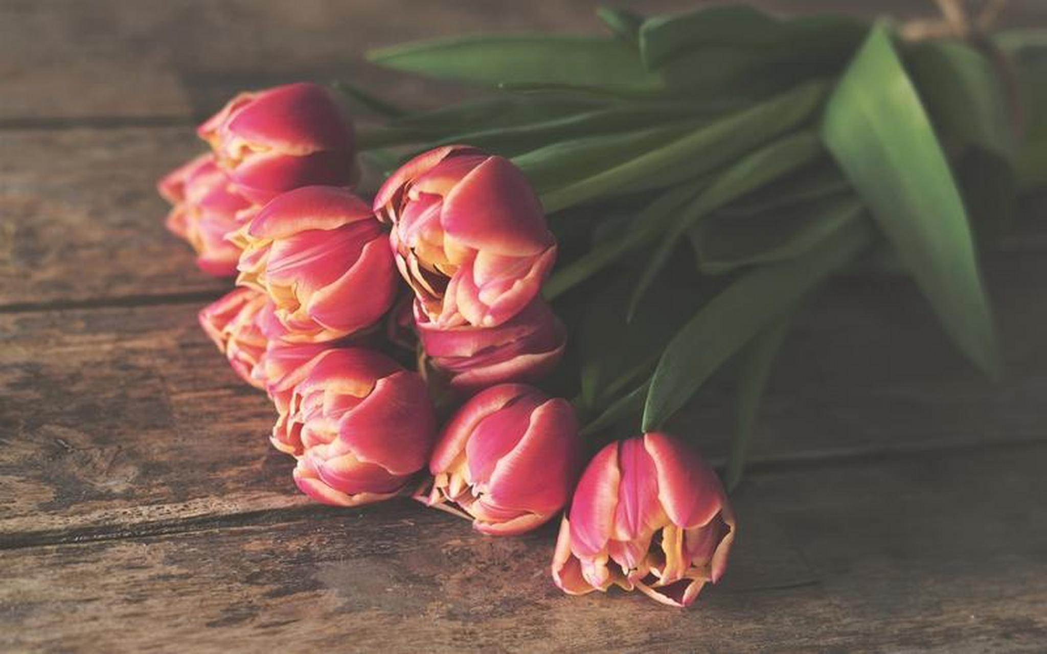 人生的真谛就是得失都是命,命里有时终须有,命里无时莫强求.