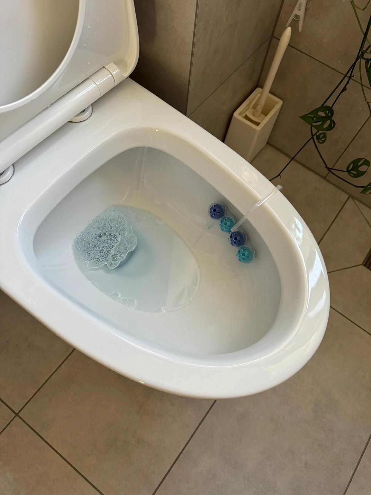 她的家,那叫一个干净,简直让人眼前一亮!