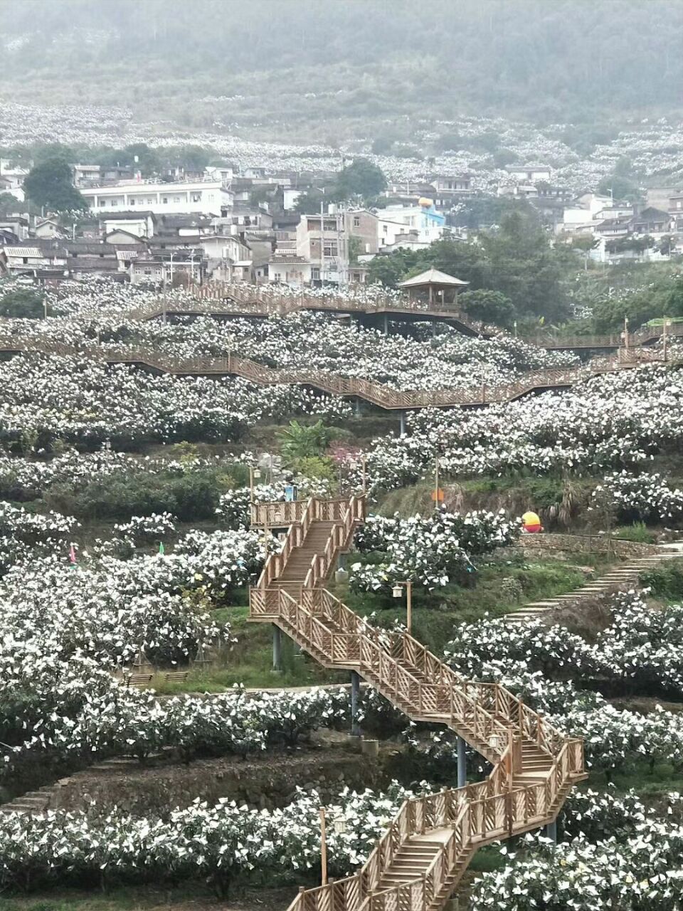 云霄必去5个景点