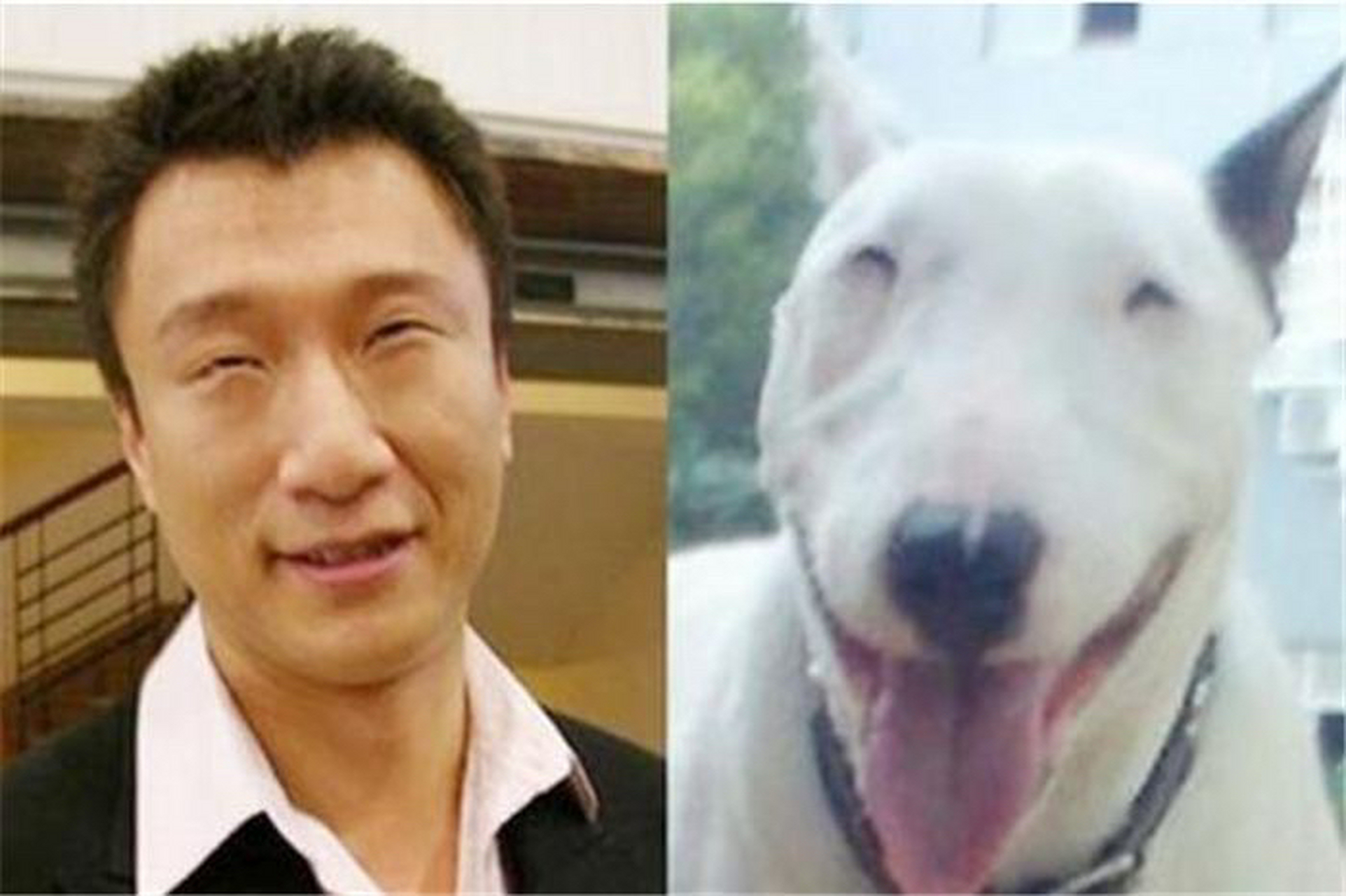 孙红雷就是狗子界的大明星.