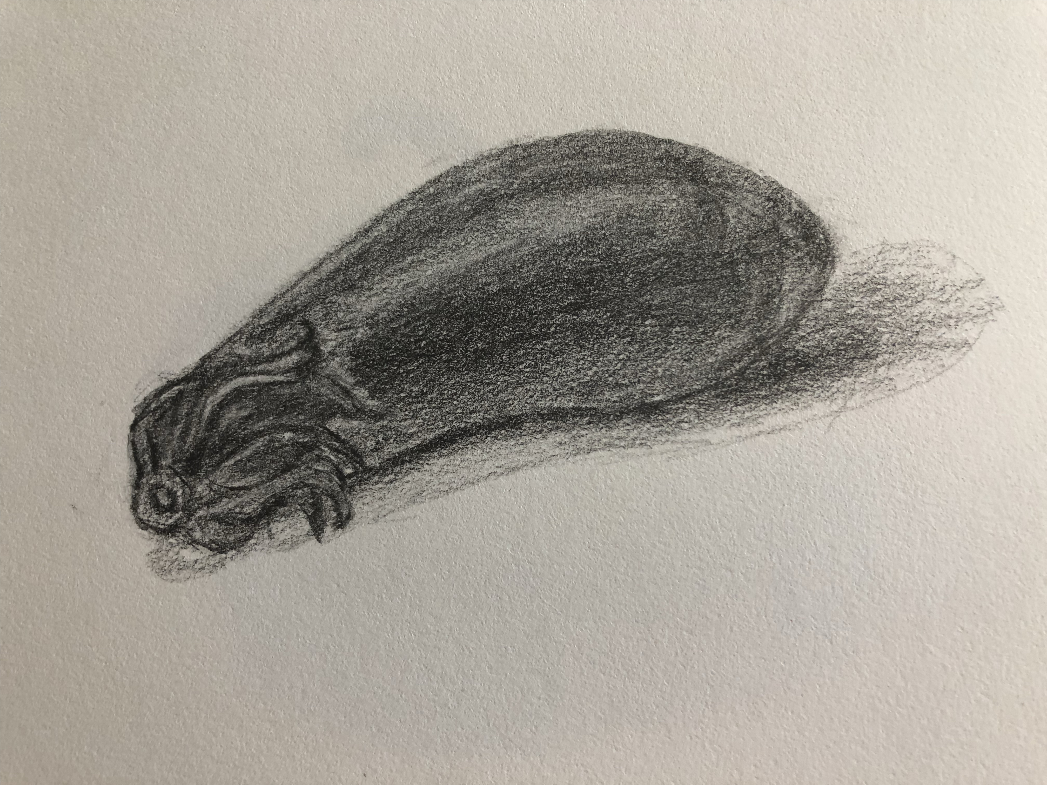 动态连更挑战#  素描练习, 水果,蔬菜合集.