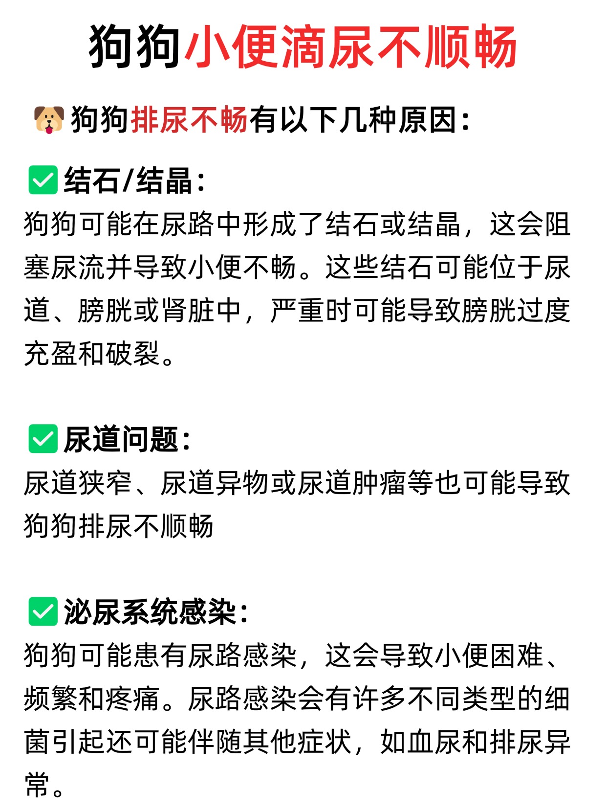 狗狗小便不顺畅,究竟是什么原因?