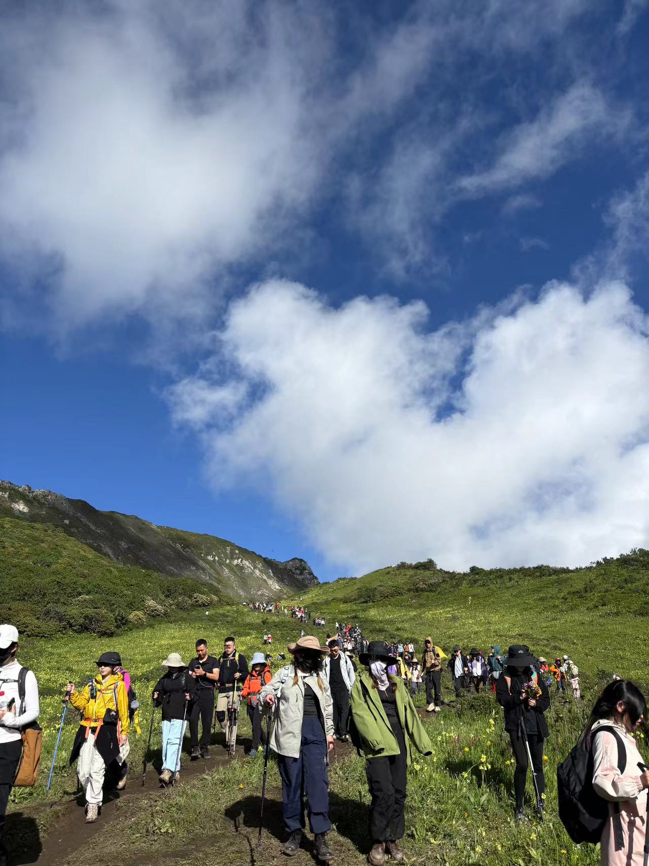 九鼎山是阿坝市茂县南新镇的山峰,位于岷山山系龙门山脉中部,最高海拔