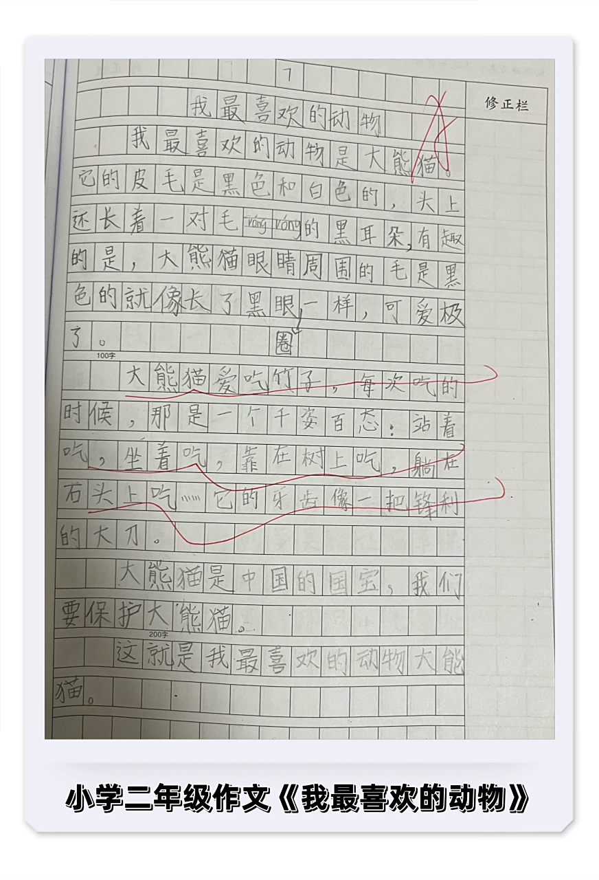 小学二年级作文《我最喜欢的动物》  我最喜欢的动物是大熊猫,它的