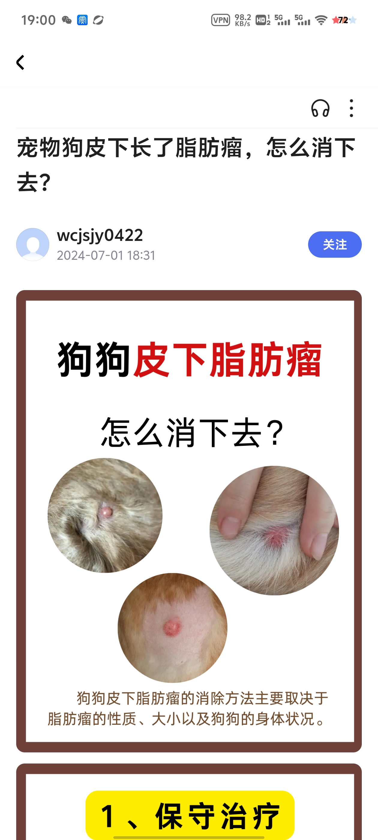 狗狗肛周腺瘤小偏方图片