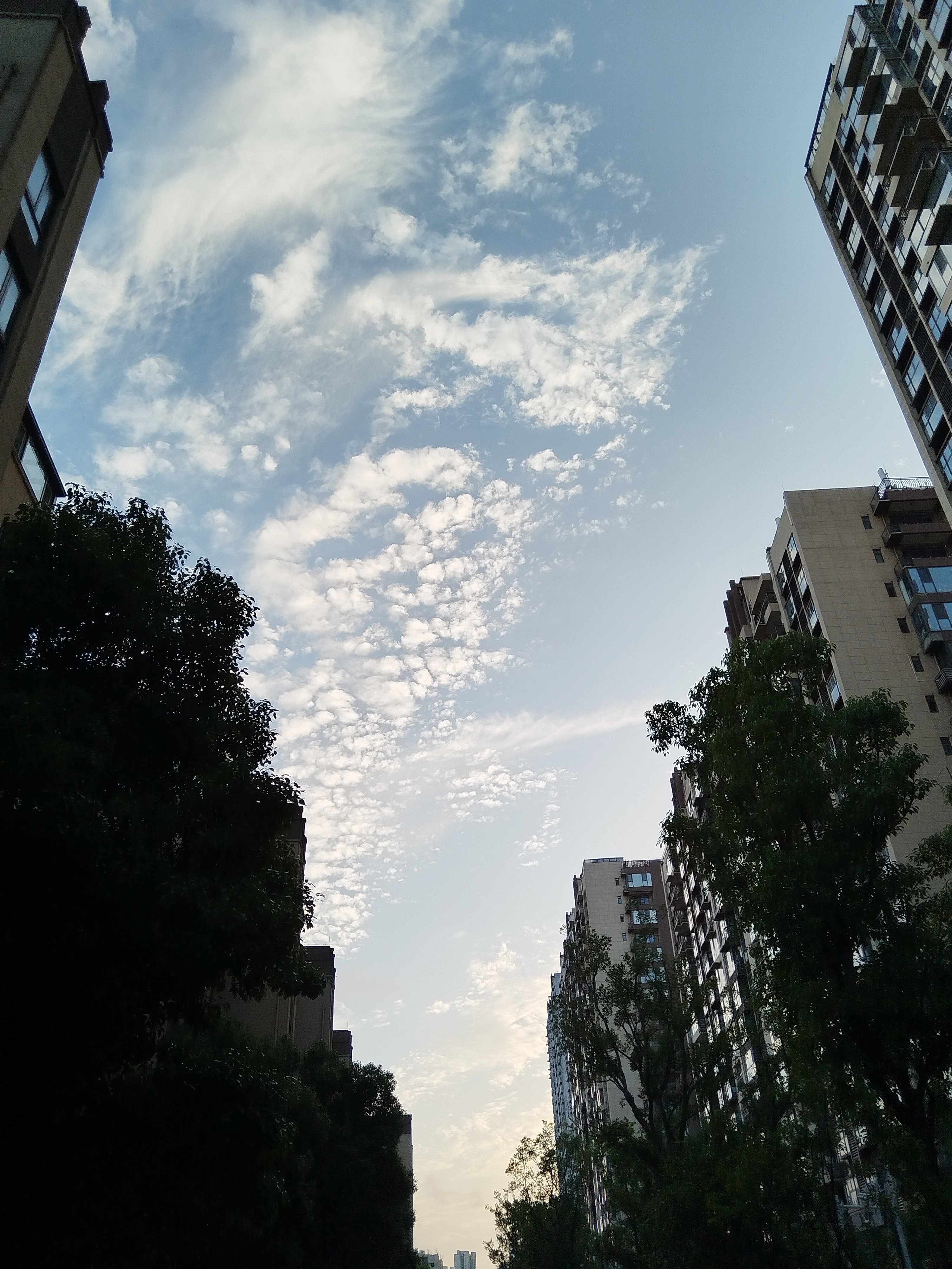 清晨阳光驱散阴霾心若向阳何惧忧伤