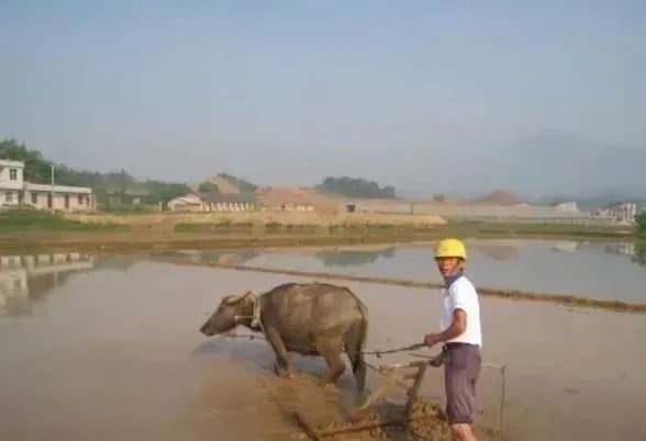 穷死不耕丈人田是什么意思 baijiahao.baidu.com