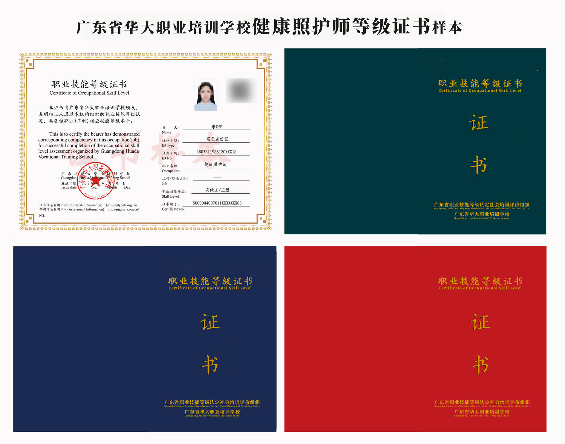 广东省健康照护师职业技能等级证书报考指南