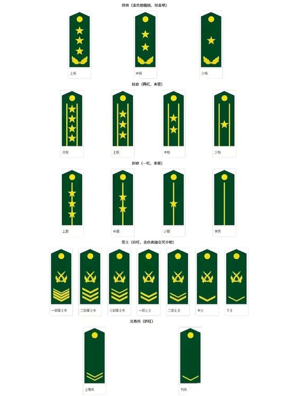 最新解放军军衔等级图片