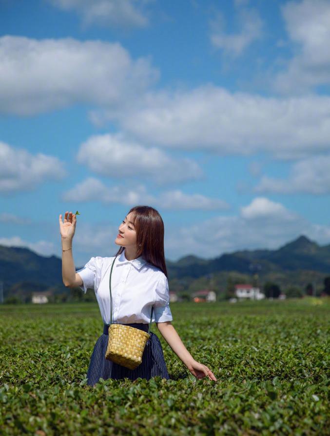 看了杨钰莹的院子,才懂何为岁月静好,养花种菜,用时间治愈自己
