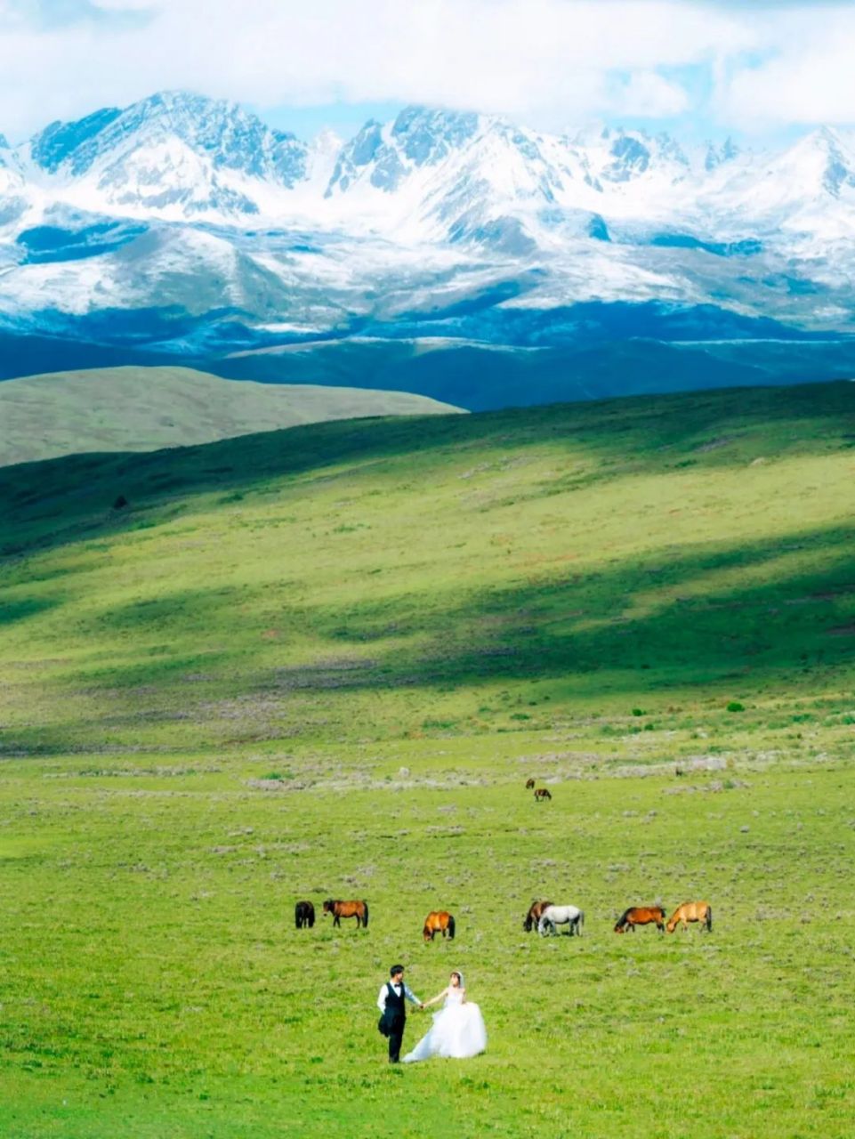 在塔公草原,藏着雪山和草甸交织的盛夏.