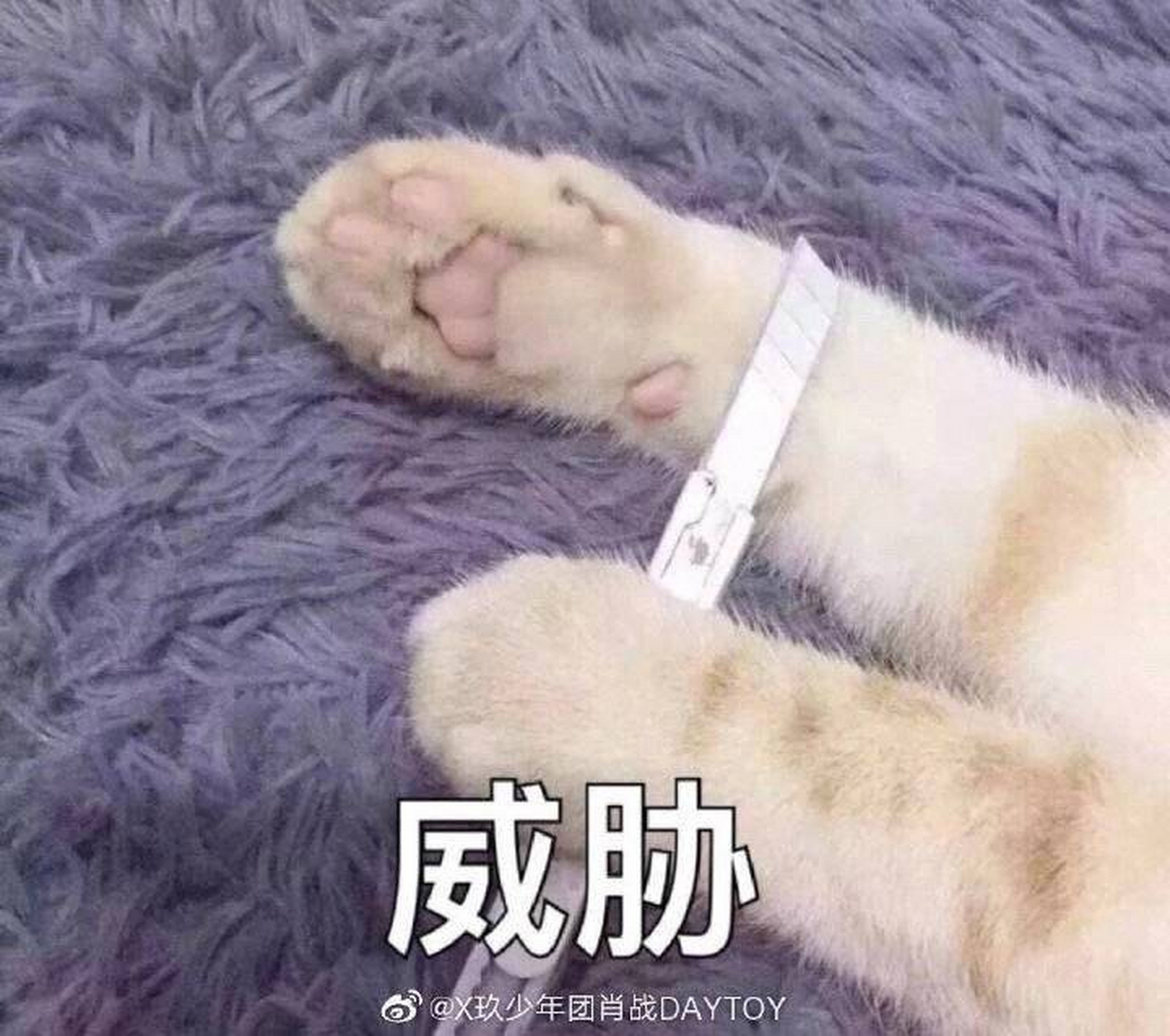 肖战真是个表情包达人啊!