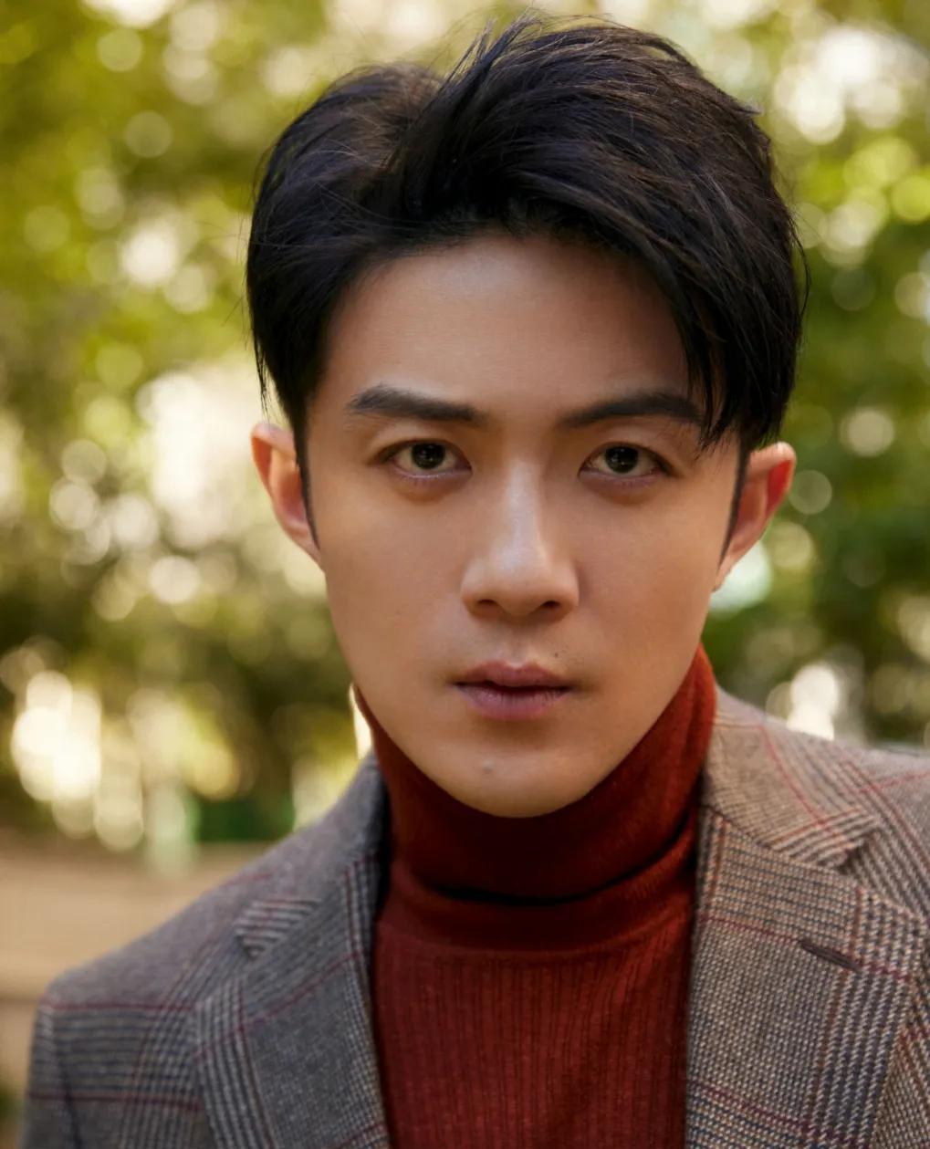 一次,李泽锋在颁奖典礼上不断强调:"我不再想演出轨,离婚,进监狱的