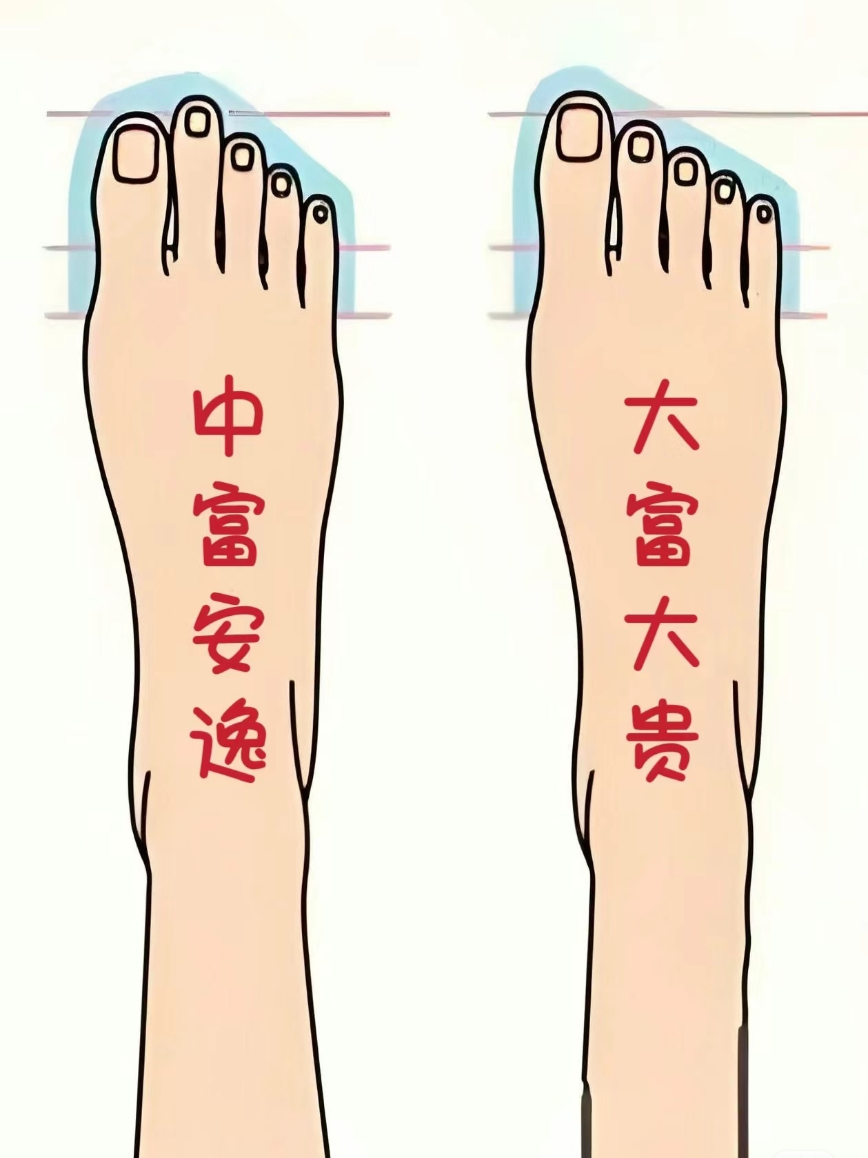 1,大脚趾最长,小趾最短:被认为是富贵命.