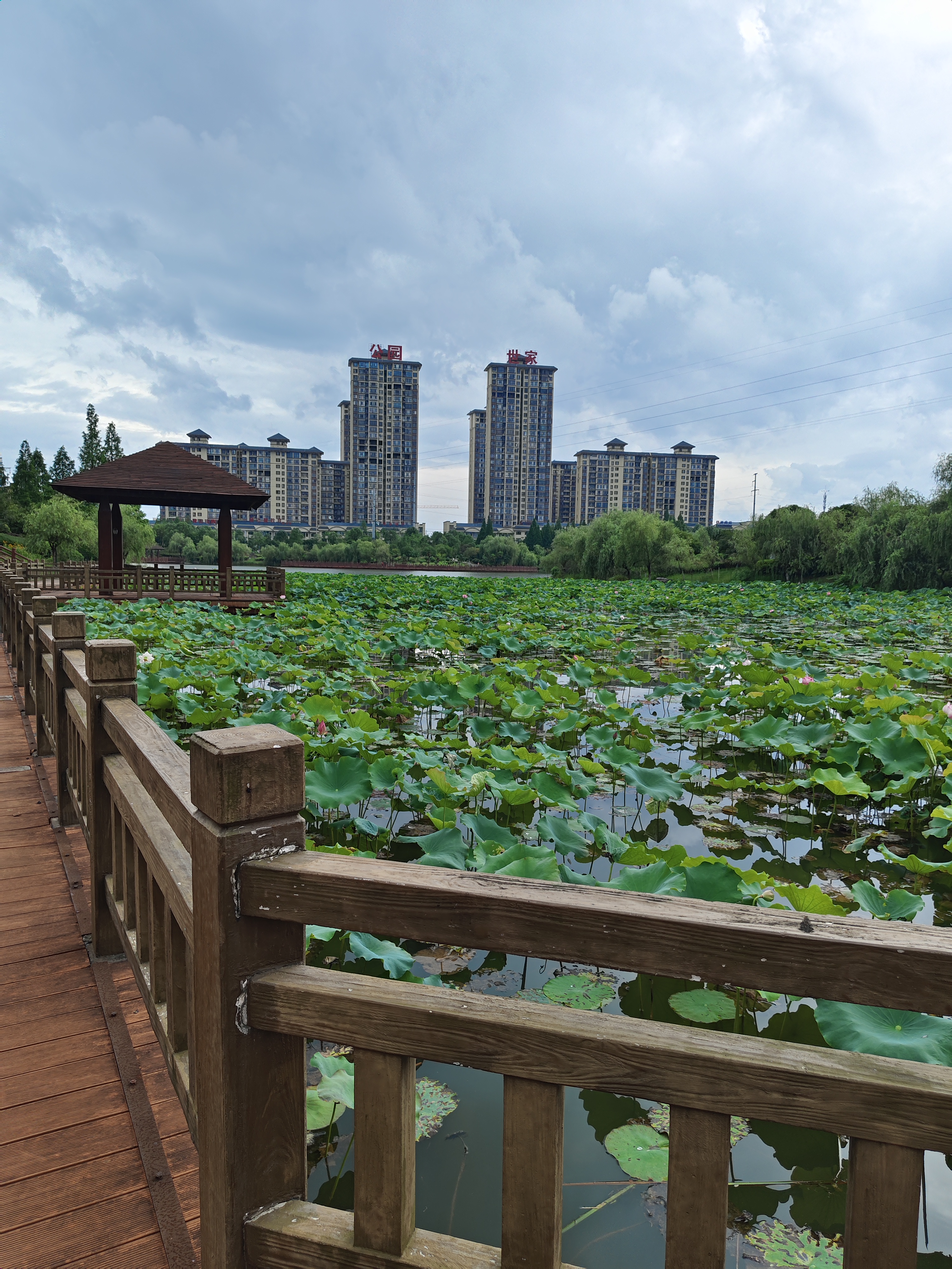 男女之间总是一本正经,就是没有爱情