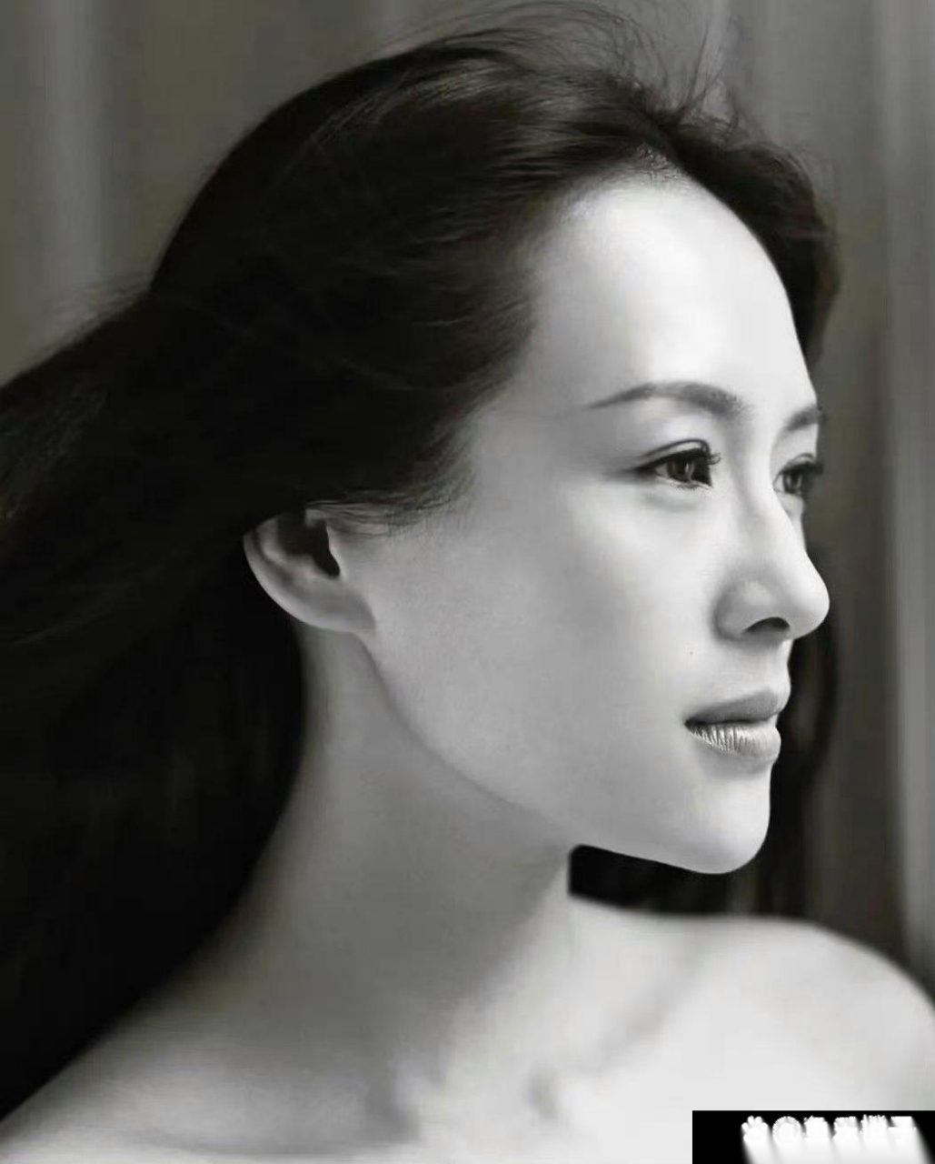 章子怡这顶级骨相,无论正颜,还是侧面,都好看