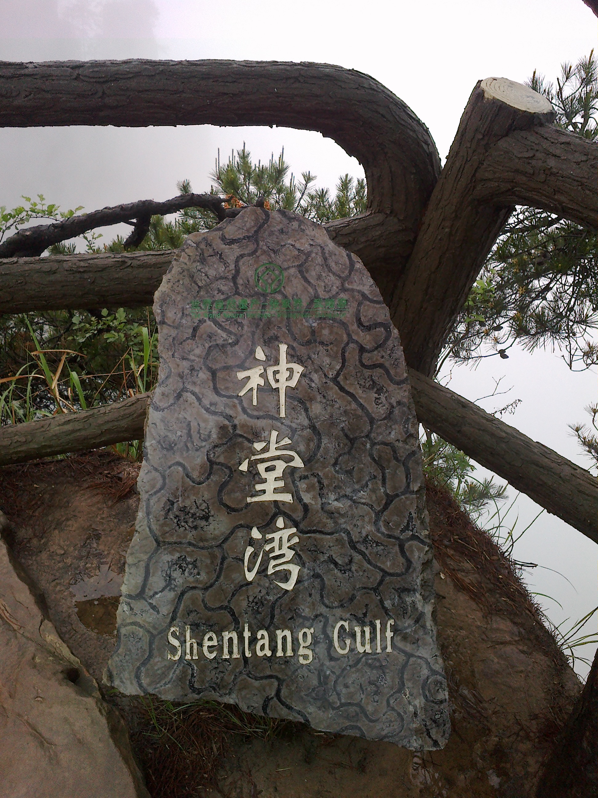 回顾:张家界神堂湾有多邪科考队冒死下谷底勘探,被眼前场景震撼