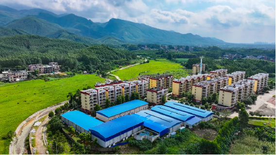广西贵港市港北区:智能菇房种竹荪,质优价高供不应求