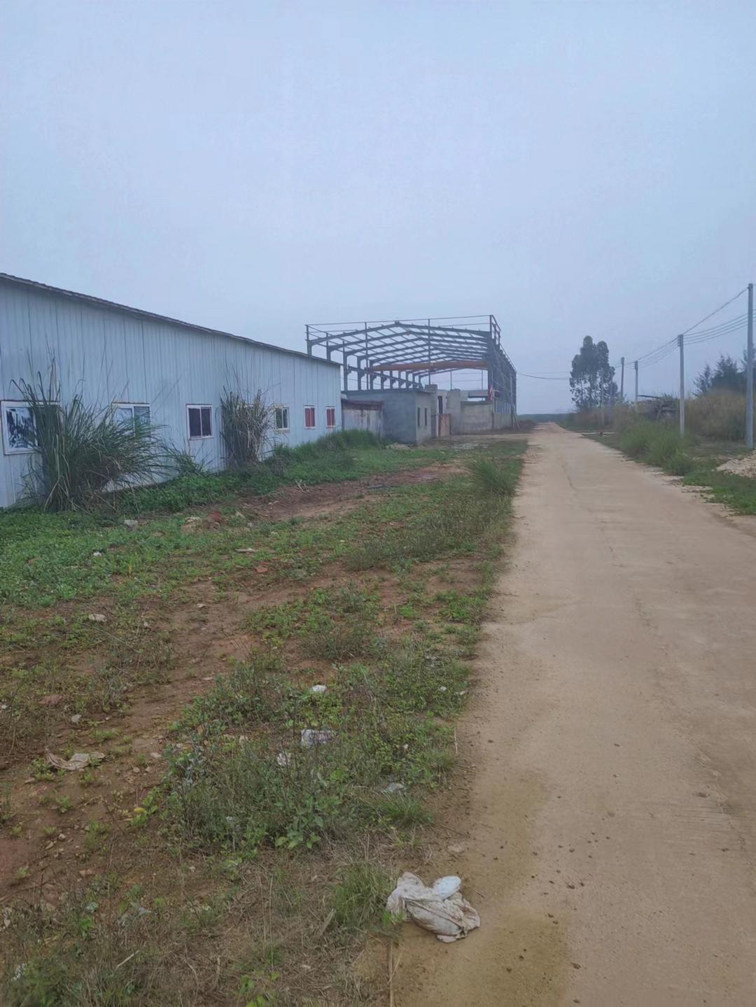 聚焦粤西:广东雷州企水码头100米防护堤遭严重毁坏