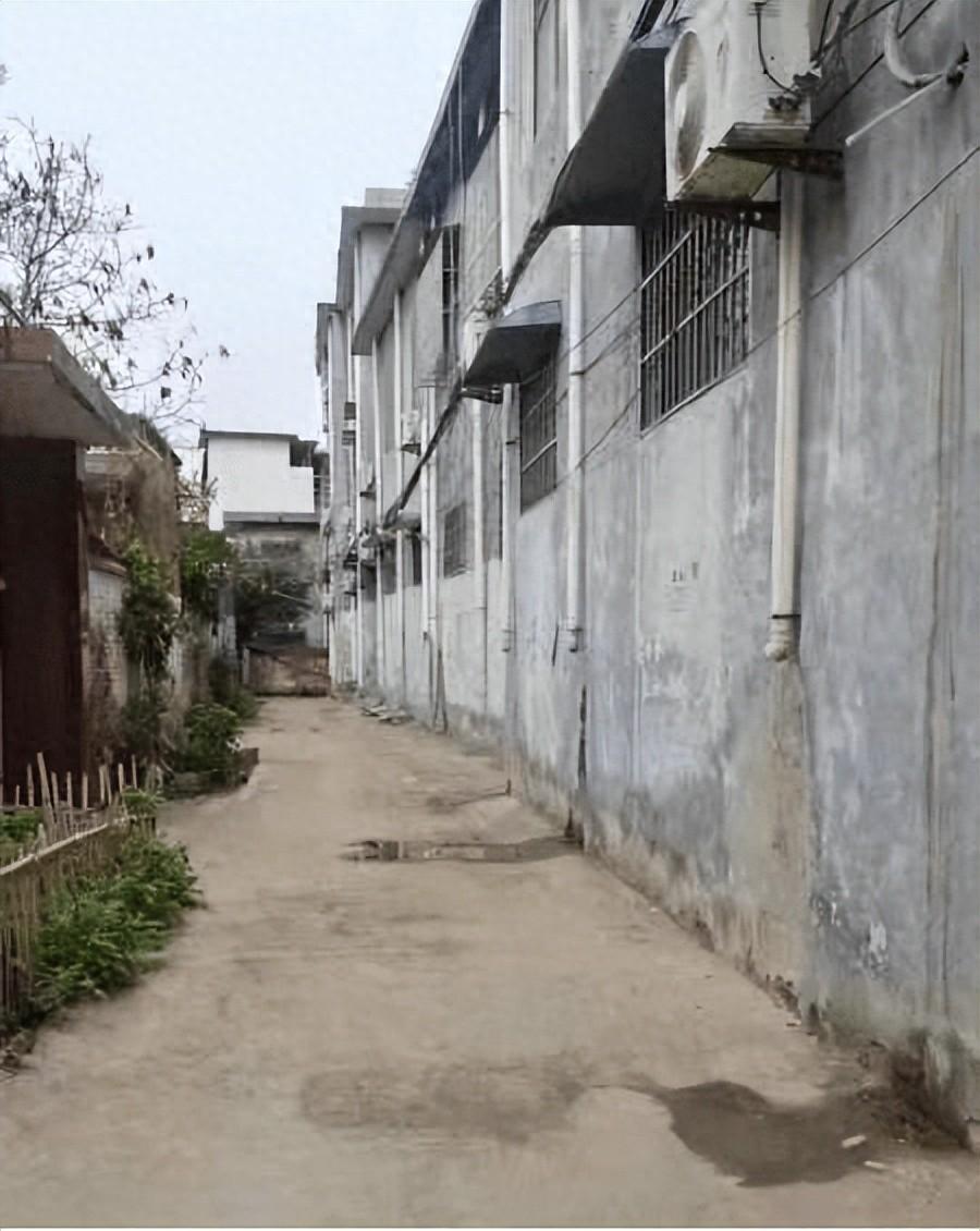 南召县城关镇:垃圾收取方式引争议 增设垃圾桶便民利行