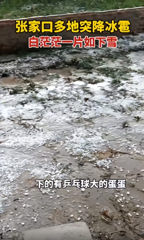 河北保定突降冰雹,西瓜砸开,高压线塔扭曲,车玻璃碎裂