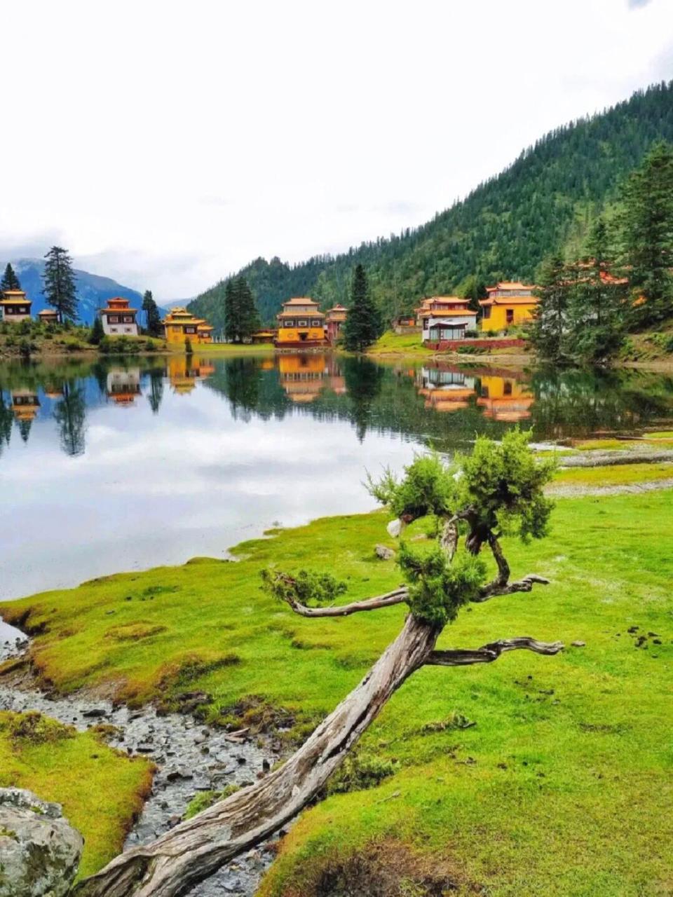 川西小众秘境,"人间瑶池"措卡湖 措卡湖在当地称措卡海子,又称赞多措