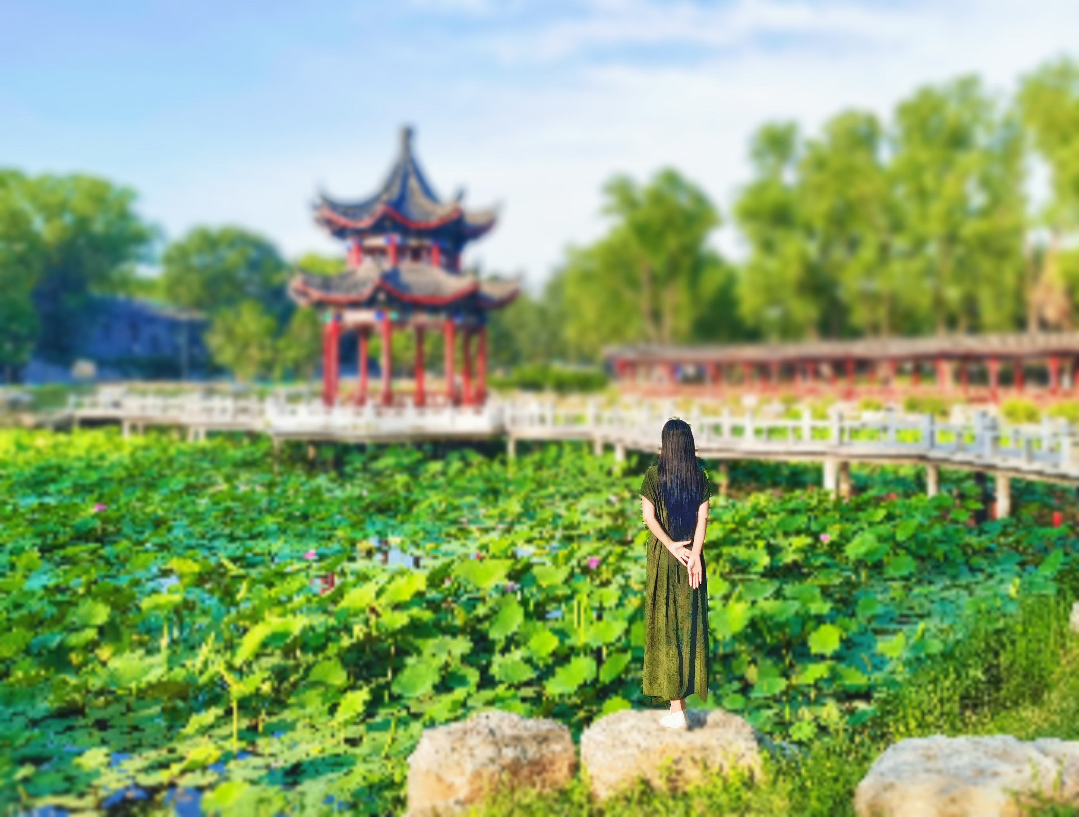 功德寺公园位于北京市海淀区玉带路与玉泉山路交叉口,亦是园外园一道