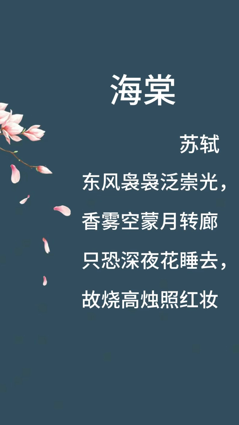 关于海棠花的唯美短句图片