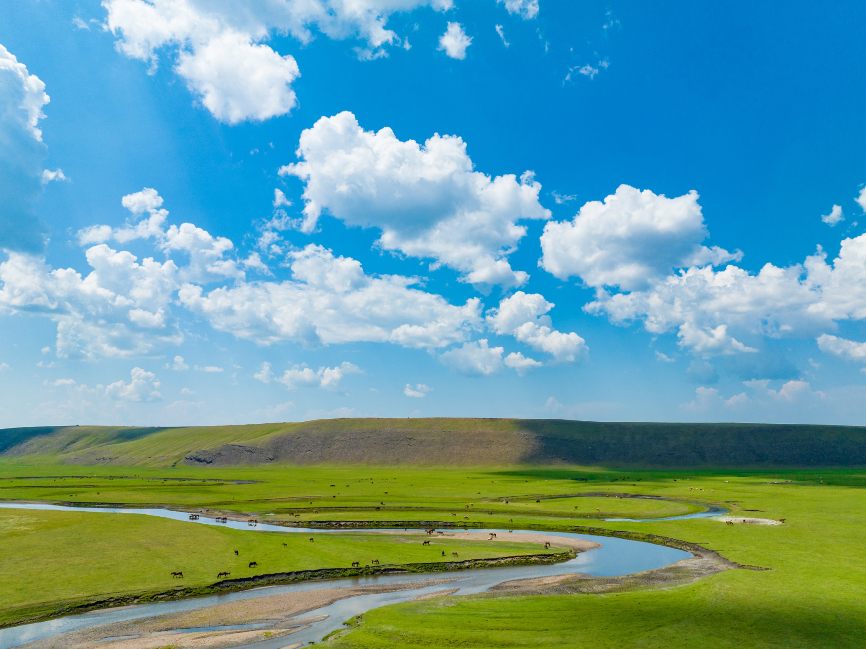 碧蓝的天空中白云朵朵,马儿,羊群悠闲吃草,漫步,仿佛进入了漫画世界.