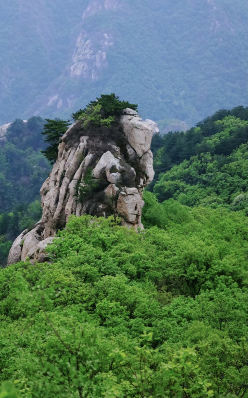 北京有一座山,最炎热的七月平均温度为20℃,比避暑山庄还低4-5℃,它有