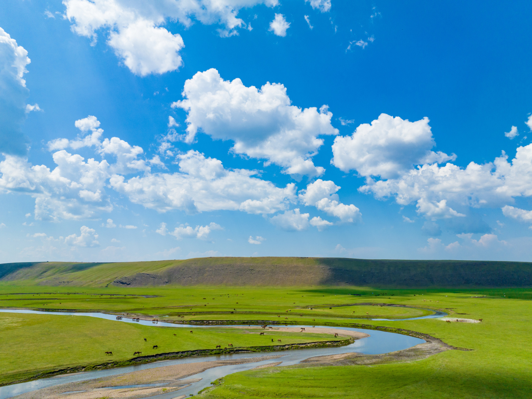 进入夏季,内蒙古呼伦贝尔草原景色如画.