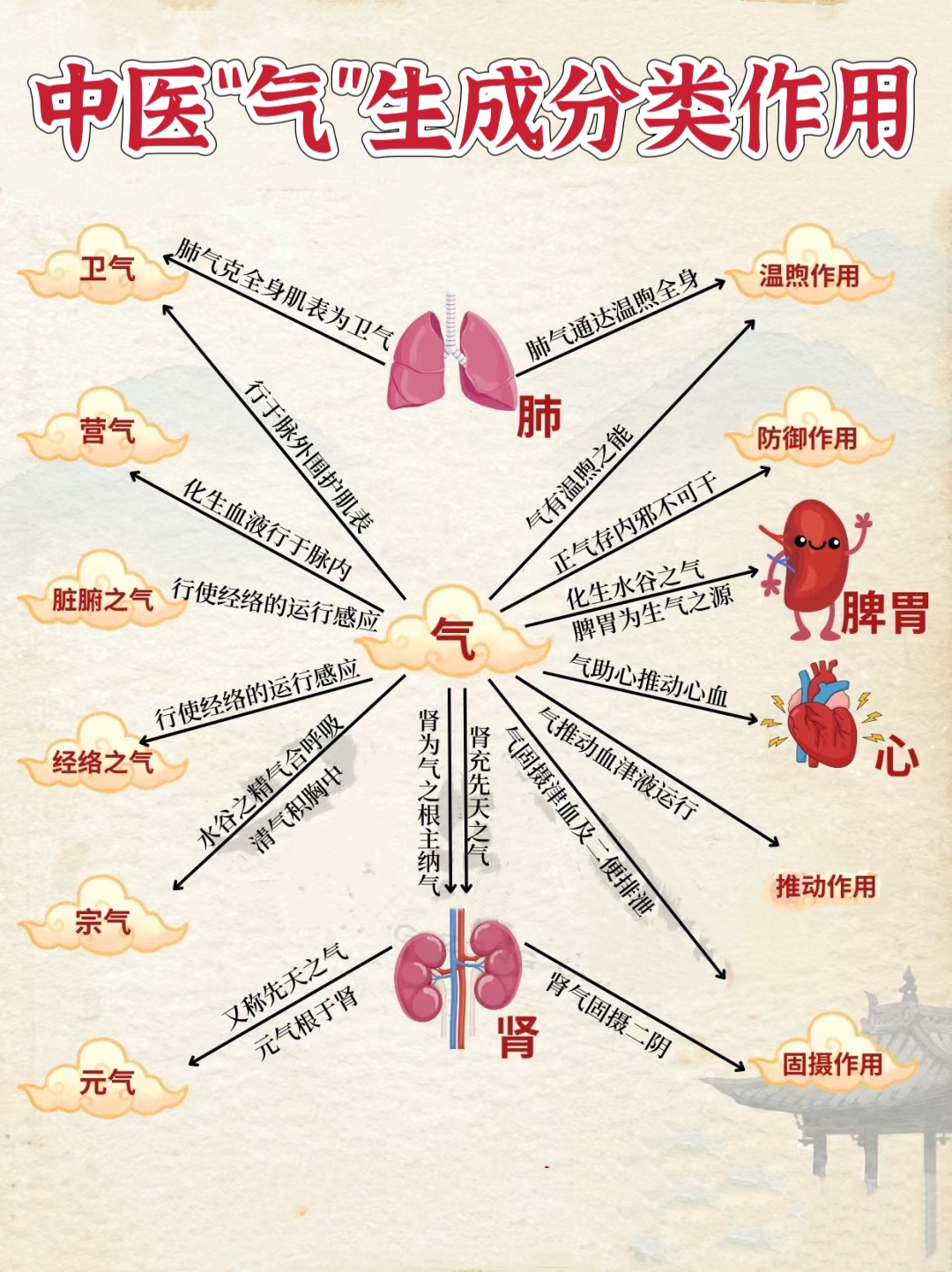 人体气血运行的方向图片