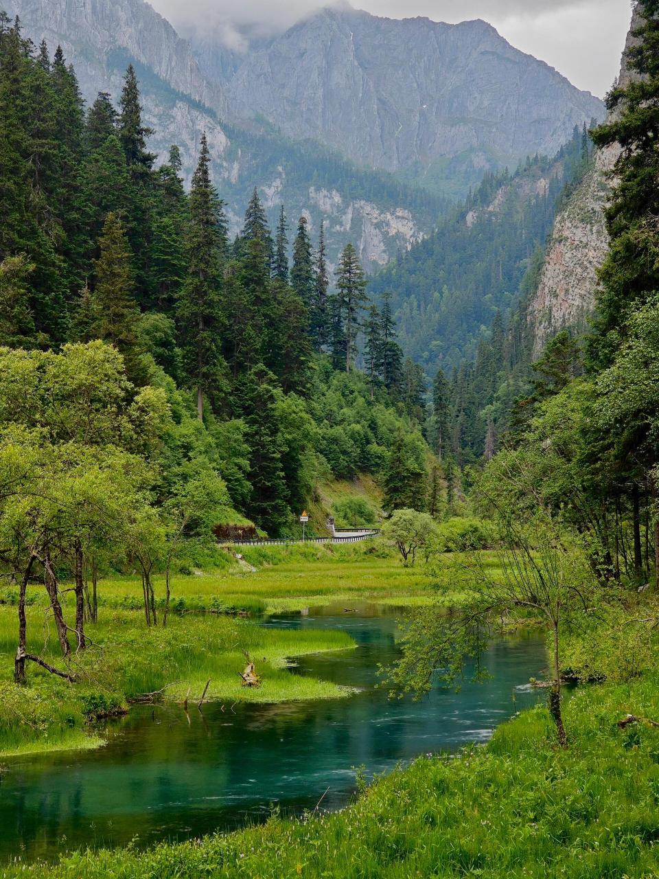 被低估的九寨沟原始森林 原始森林到草海这一段,真的好美 很多人都不