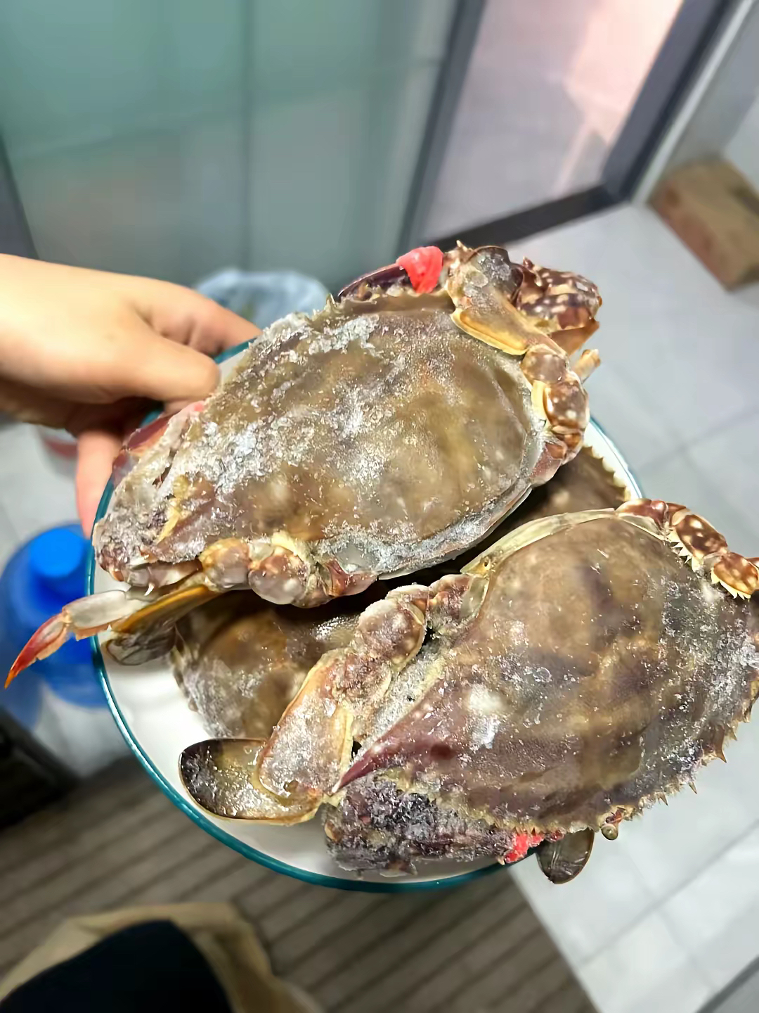 去年去青岛出差,花800块钱买的梭子蟹,拿回来就吃了一顿