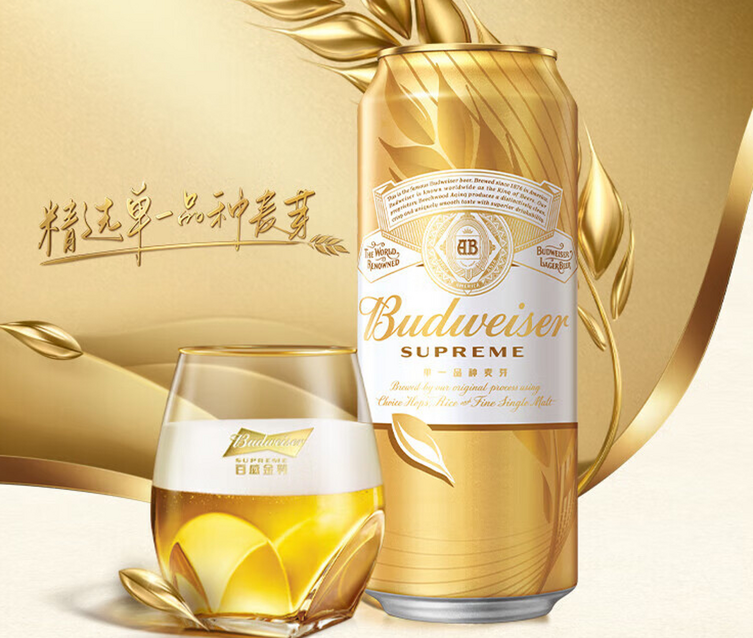 百威金尊拉格啤酒,这款单一品种啤酒以其独特的麦芽风味而闻名.