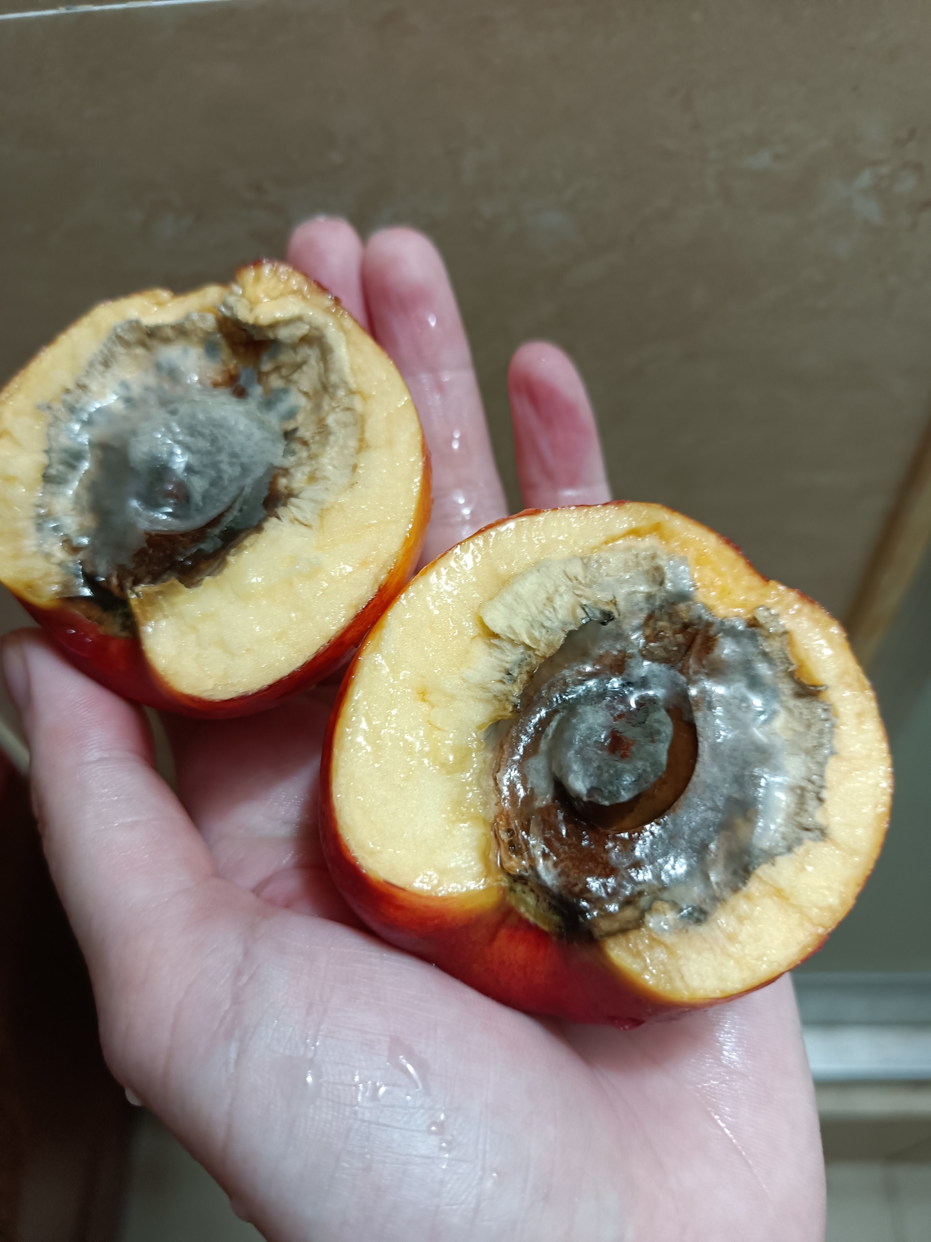 今天我买打折的油桃吃亏啦,外面看着蛮正常的,可是刚