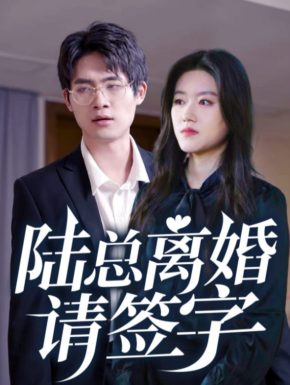 陆总离婚请签字