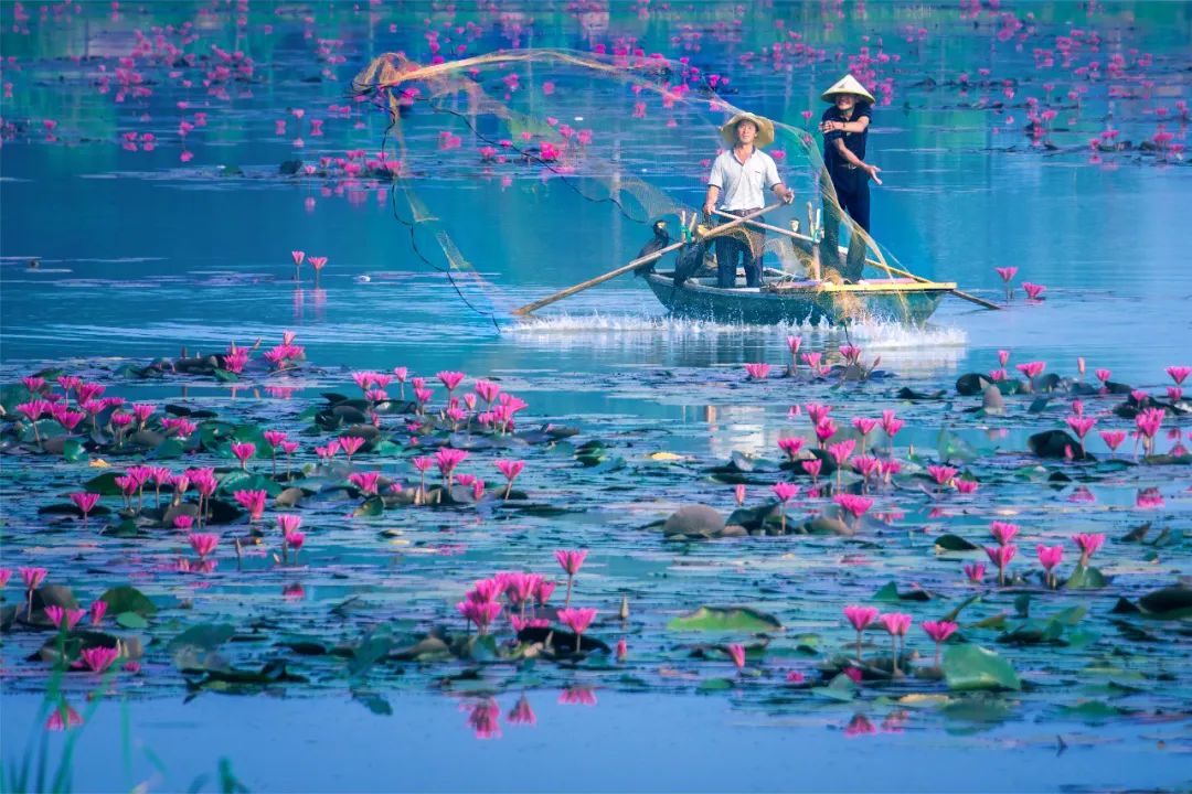 池杉湖湿地公园介绍图片