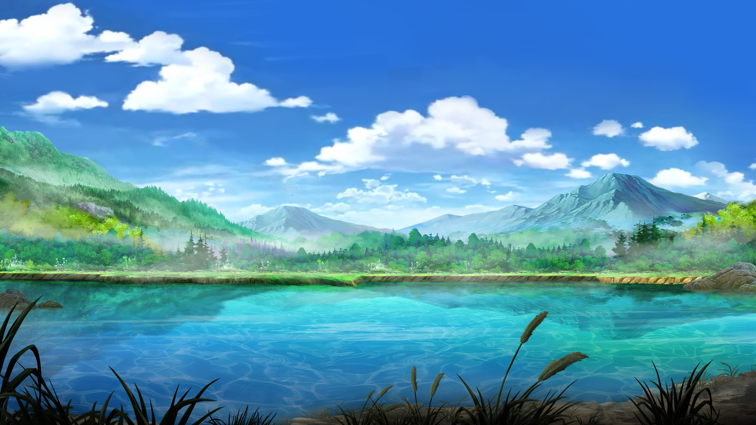 人心如叶片,一生一落,一落一生