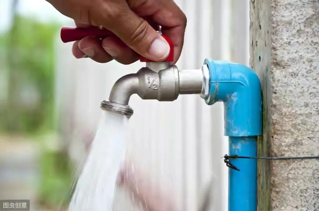 5分钟学会给长寿花浇水,烂根落叶不会有,叶子肥厚开花多