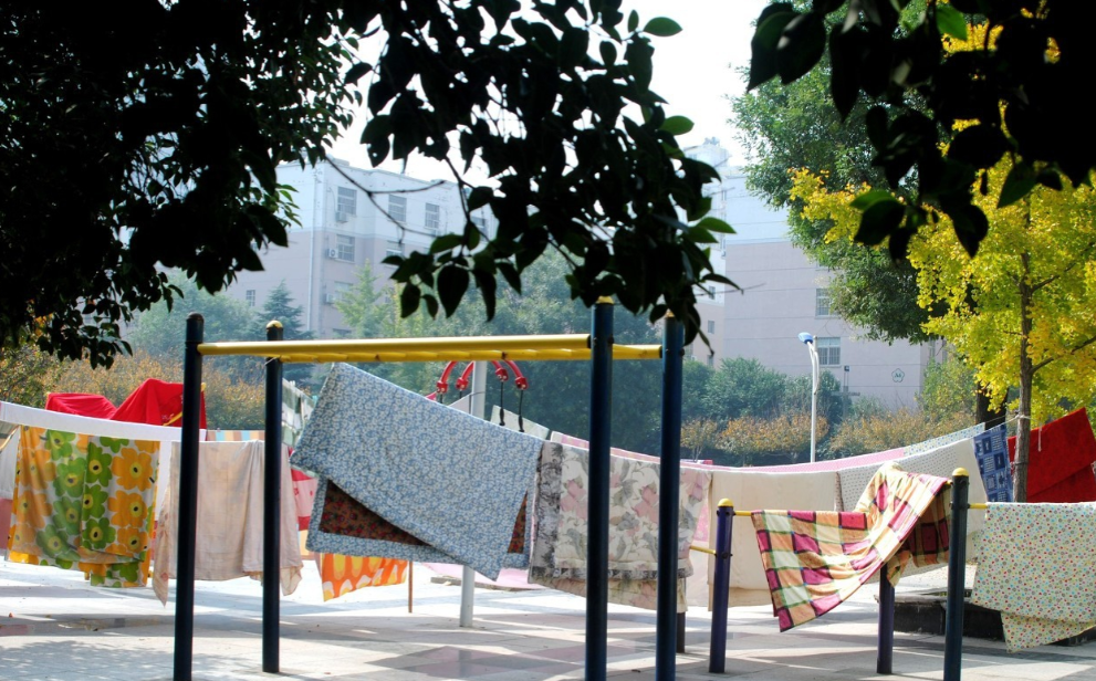 晒被子后有"太阳味",是螨虫的尸体味?网友:看完涨知识了!