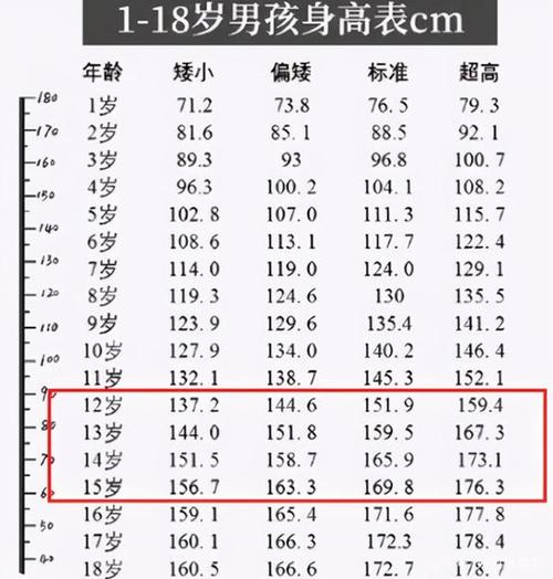 初中生身高标准图片